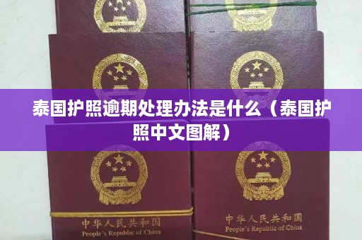 泰国护照逾期处理办法是什么（泰国护照中文图解）