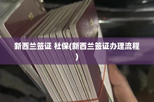 新西兰签证 社保(新西兰签证办理流程)  第1张