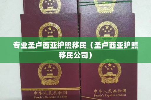 专业圣卢西亚护照移民（圣卢西亚护照移民公司）  第1张