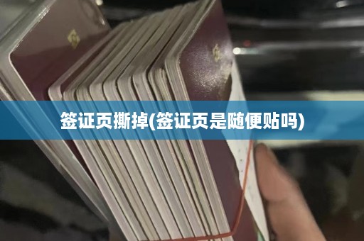 签证页撕掉(签证页是随便贴吗)