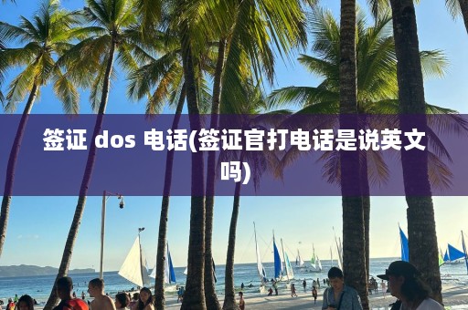 签证 dos 电话(签证官打电话是说英文吗)