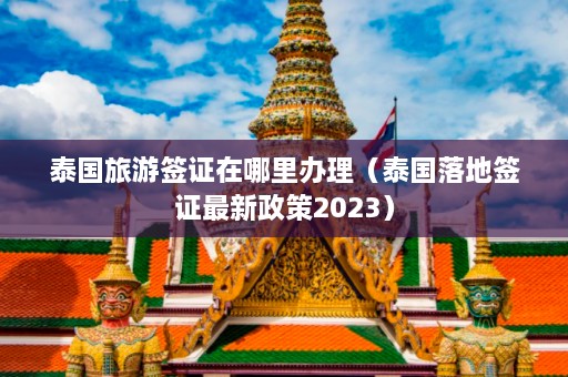 泰国旅游签证在哪里办理（泰国落地签证最新政策2023）  第1张