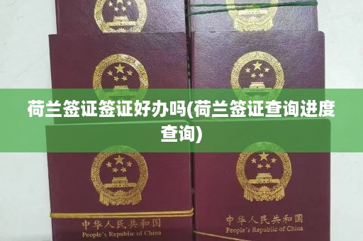 荷兰签证签证好办吗(荷兰签证查询进度查询)