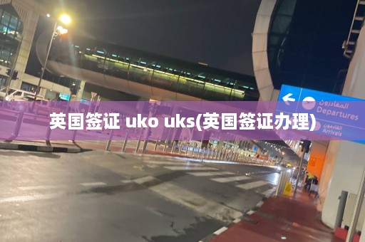 英国签证 uko uks(英国签证办理)