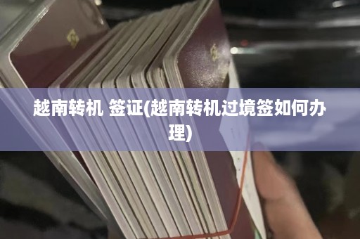 越南转机 签证(越南转机过境签如何办理)