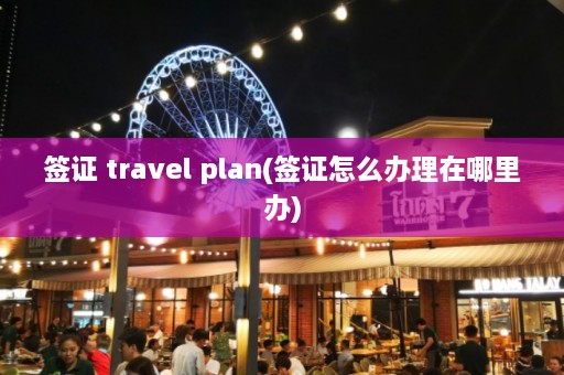 签证 travel plan(签证怎么办理在哪里办)