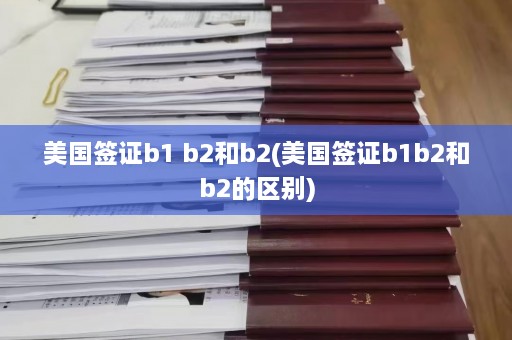 美国签证b1 b2和b2(美国签证b1b2和b2的区别)