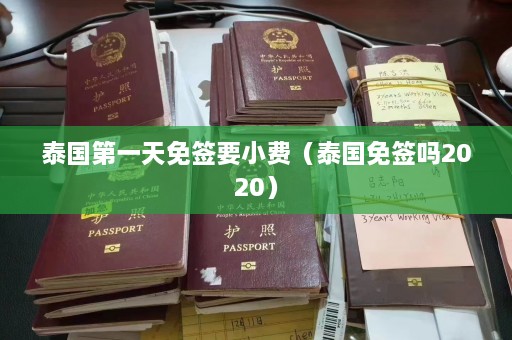 泰国第一天免签要小费（泰国免签吗2020）