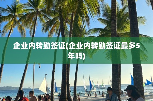 企业内转勤签证(企业内转勤签证最多5年吗)