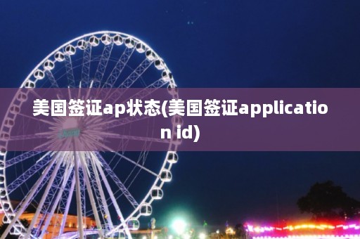 美国签证ap状态(美国签证application id)