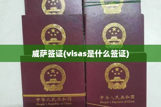 威萨签证(visas是什么签证)