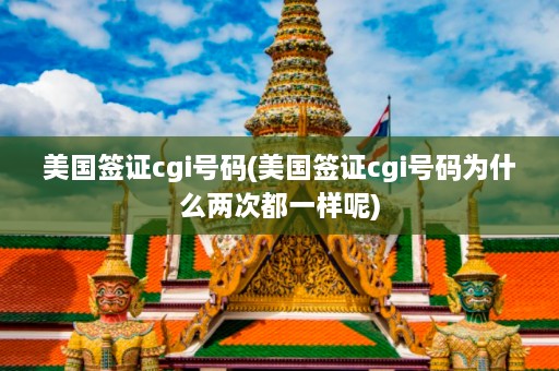 美国签证cgi *** (美国签证cgi *** 为什么两次都一样呢)