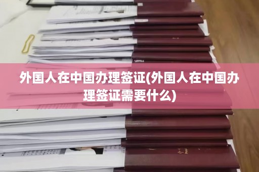 外国人在中国办理签证(外国人在中国办理签证需要什么)  第1张