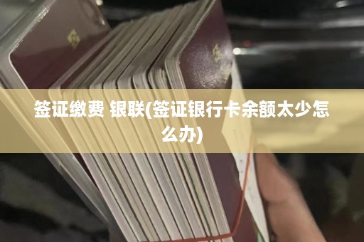 签证缴费 银联(签证银行卡余额太少怎么办)  第1张