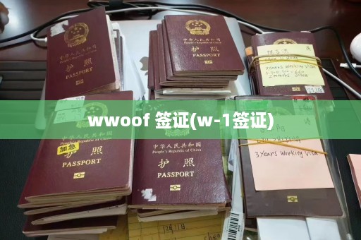 wwoof 签证(w-1签证)