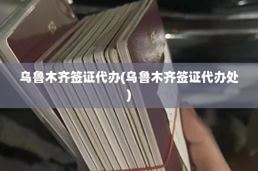 乌鲁木齐签证代办(乌鲁木齐签证代办处)