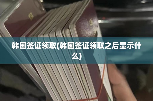 韩国签证领取(韩国签证领取之后显示什么)  第1张