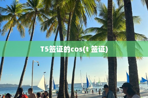 T5签证的cos(t 签证)  第1张