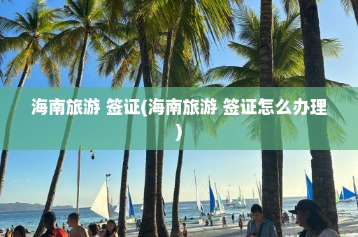 海南旅游 签证(海南旅游 签证怎么办理)  第1张