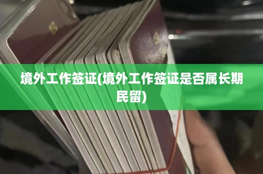 境外工作签证(境外工作签证是否属长期民留)