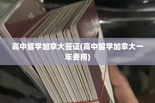 高中留学加拿大签证(高中留学加拿大一年费用)