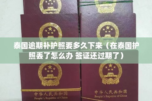 泰国逾期补护照要多久下来（在泰国护照丢了怎么办 签证还过期了）