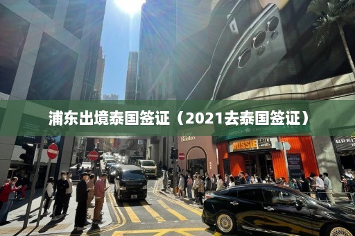 浦东出境泰国签证（2021去泰国签证）