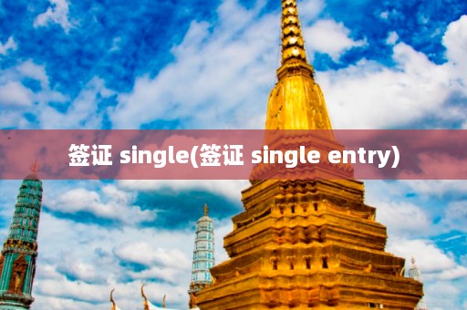 签证 single(签证 single entry)