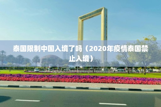 泰国限制中国入境了吗（2020年疫情泰国禁止入境）