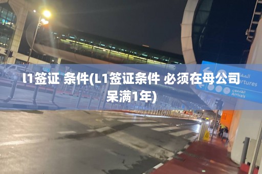 l1签证 条件(L1签证条件 必须在母公司呆满1年)