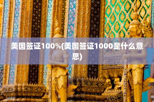 美国签证100%(美国签证1000是什么意思)  第1张