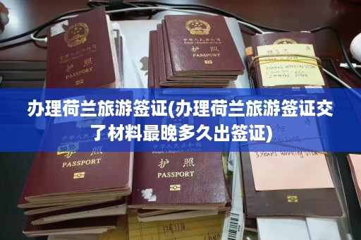 办理荷兰旅游签证(办理荷兰旅游签证交了材料最晚多久出签证)