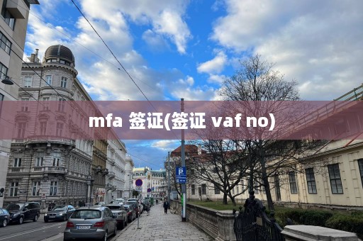 mfa 签证(签证 vaf no)