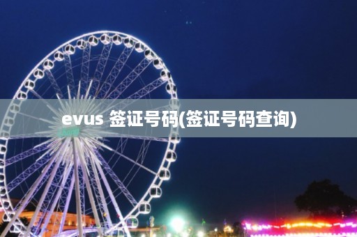 evus 签证号码(签证号码查询)