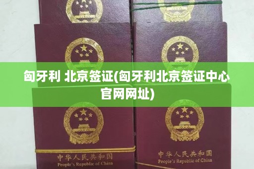 匈牙利 北京签证(匈牙利北京签证中心官网网址)  第1张