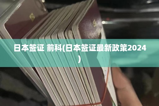 日本签证 前科(日本签证最新政策2024)