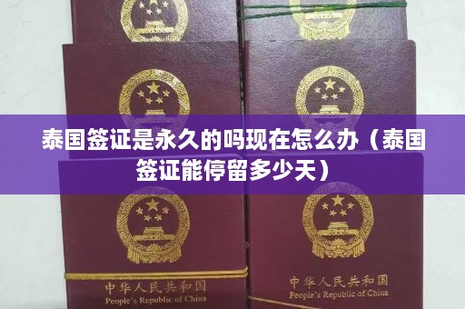 泰国签证是永久的吗现在怎么办（泰国签证能停留多少天）  第1张