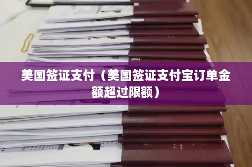 美国签证支付（美国签证支付宝订单金额超过限额）