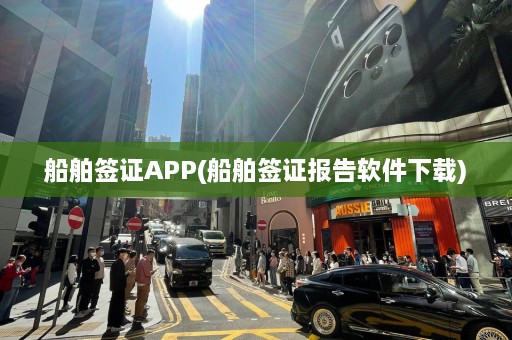 船舶签证APP(船舶签证报告软件下载)  第1张