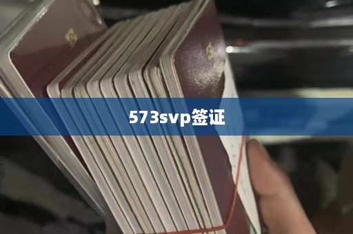 573svp签证  第1张