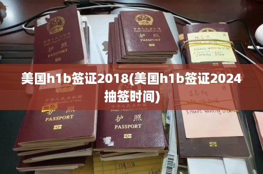 美国h1b签证2018(美国h1b签证2024抽签时间)