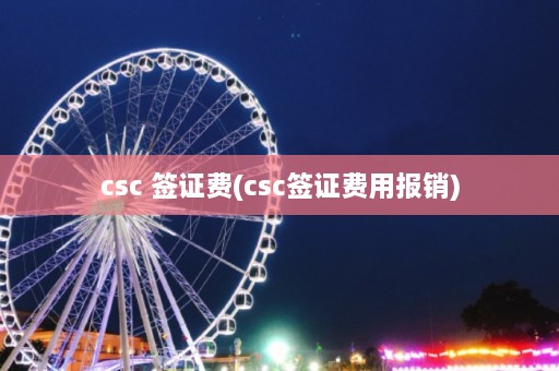 csc 签证费(csc签证费用报销)