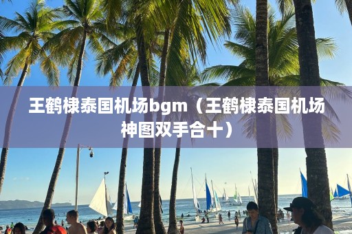 王鹤棣泰国机场bgm（王鹤棣泰国机场神图双手合十）