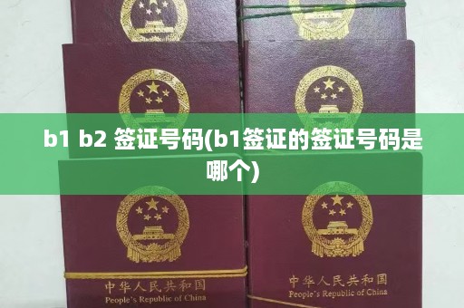 b1 b2 签证号码(b1签证的签证号码是哪个)  第1张