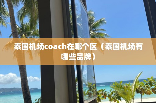 泰国机场coach在哪个区（泰国机场有哪些品牌）  第1张