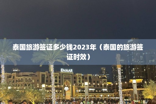 泰国旅游签证多少钱2023年（泰国的旅游签证时效）