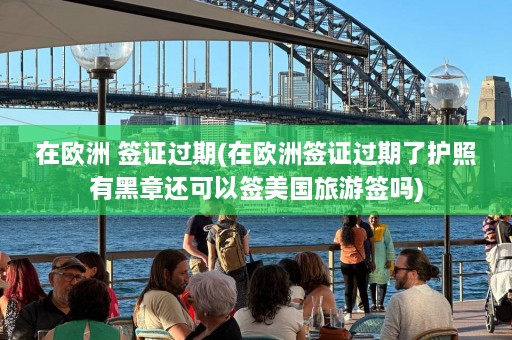 在欧洲 签证过期(在欧洲签证过期了护照有黑章还可以签美国旅游签吗)