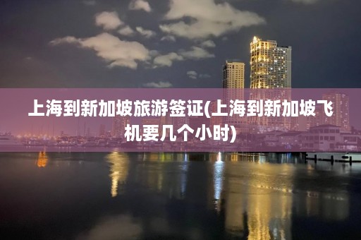 上海到新加坡旅游签证(上海到新加坡飞机要几个小时)