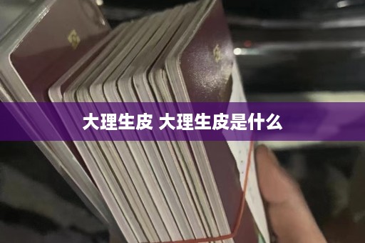 大理生皮 大理生皮是什么