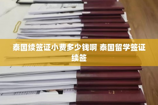 泰国续签证小费多少钱啊 泰国留学签证续签  第1张